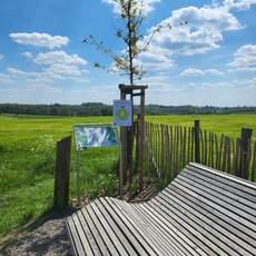Rast im Bergischen mit Infotafeln
