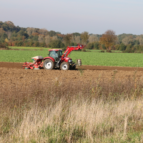 roter Traktor auf dem Feld